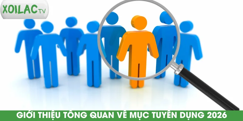 gioi-thieu-tong-quan-ve-muc-tuyen-dung-2026