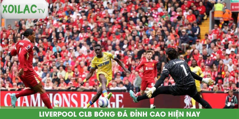 liverpool-clb-bong-da-dinh-cao-hien-nay
