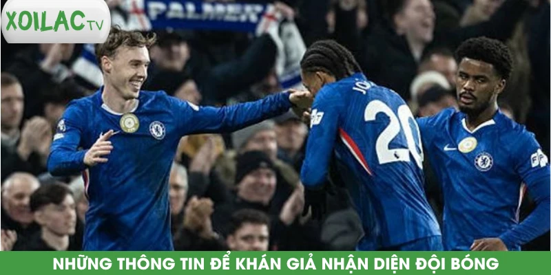 nhung-thong-tin-de-khan-gia-nhan-dien-doi-bong