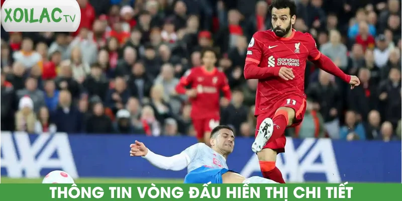 thong-tin-vong-dau-hien-thi-chi-tiet